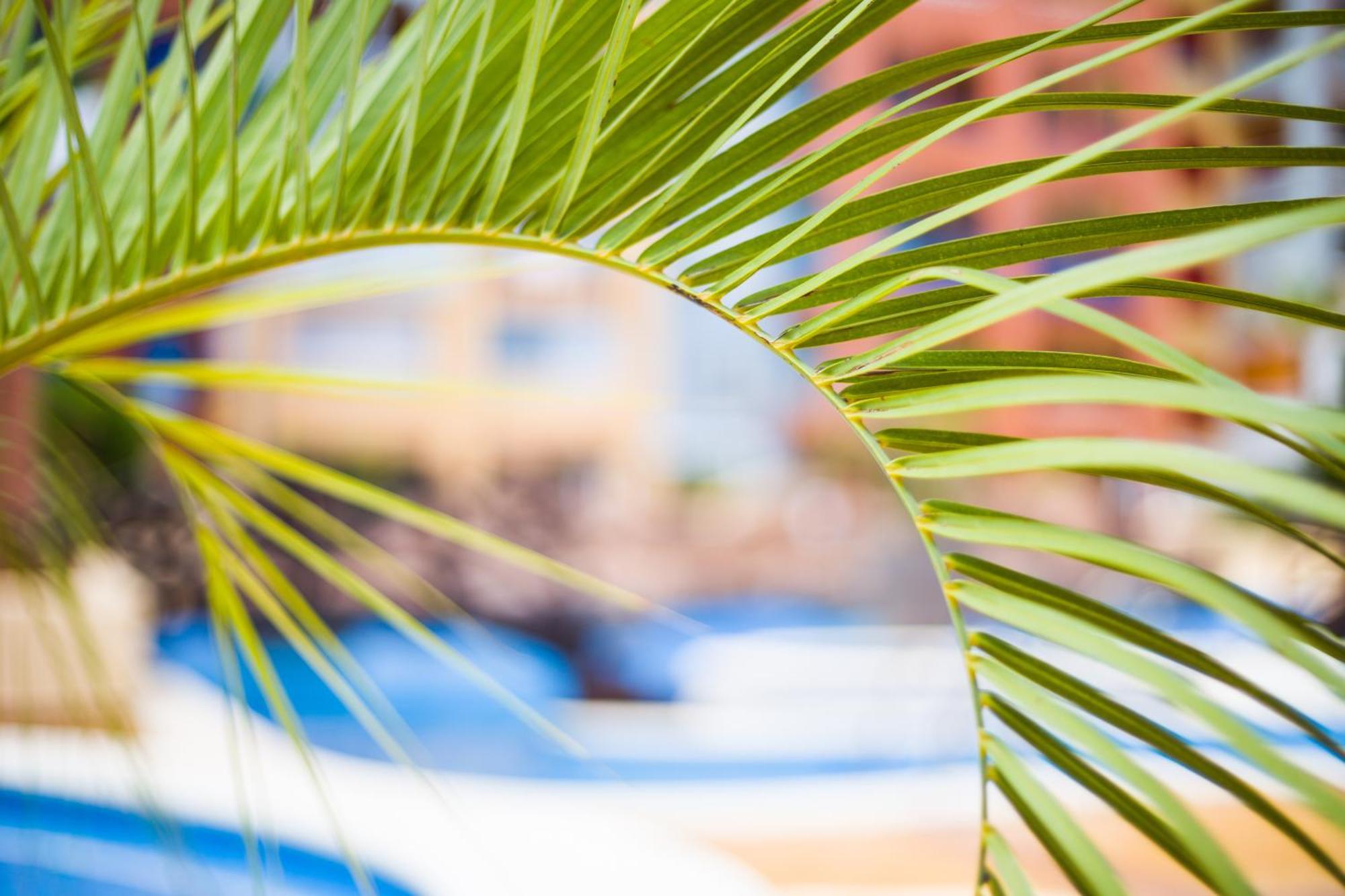Apartamento Turistico Verdemar 2 La Manga del Mar Menor Luaran gambar