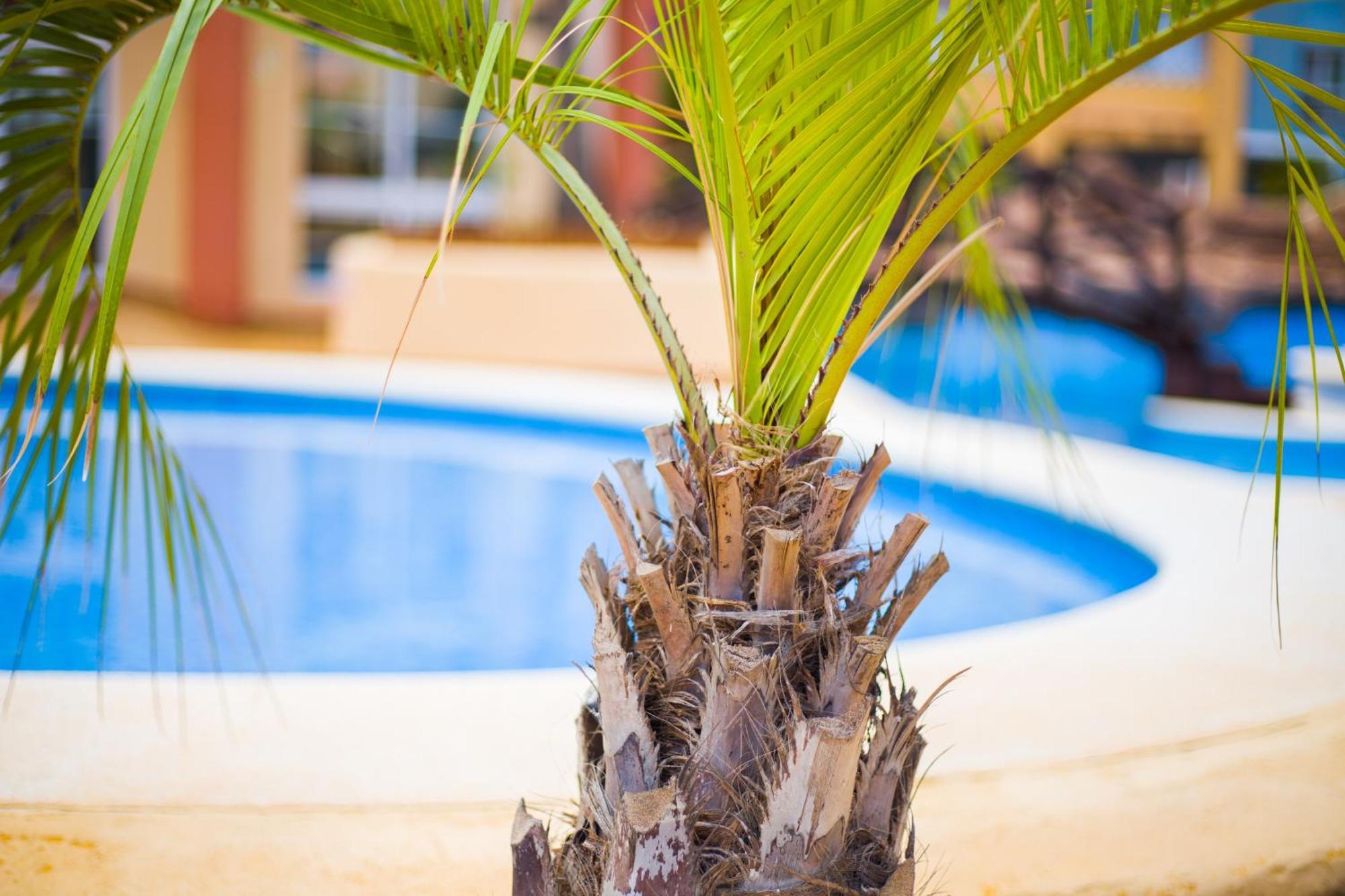 Apartamento Turistico Verdemar 2 La Manga del Mar Menor Luaran gambar